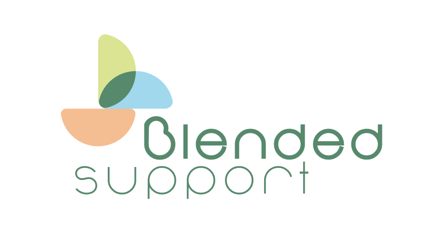 Blended Support logo healthcare startup - Vision Health Pioneers Incubator